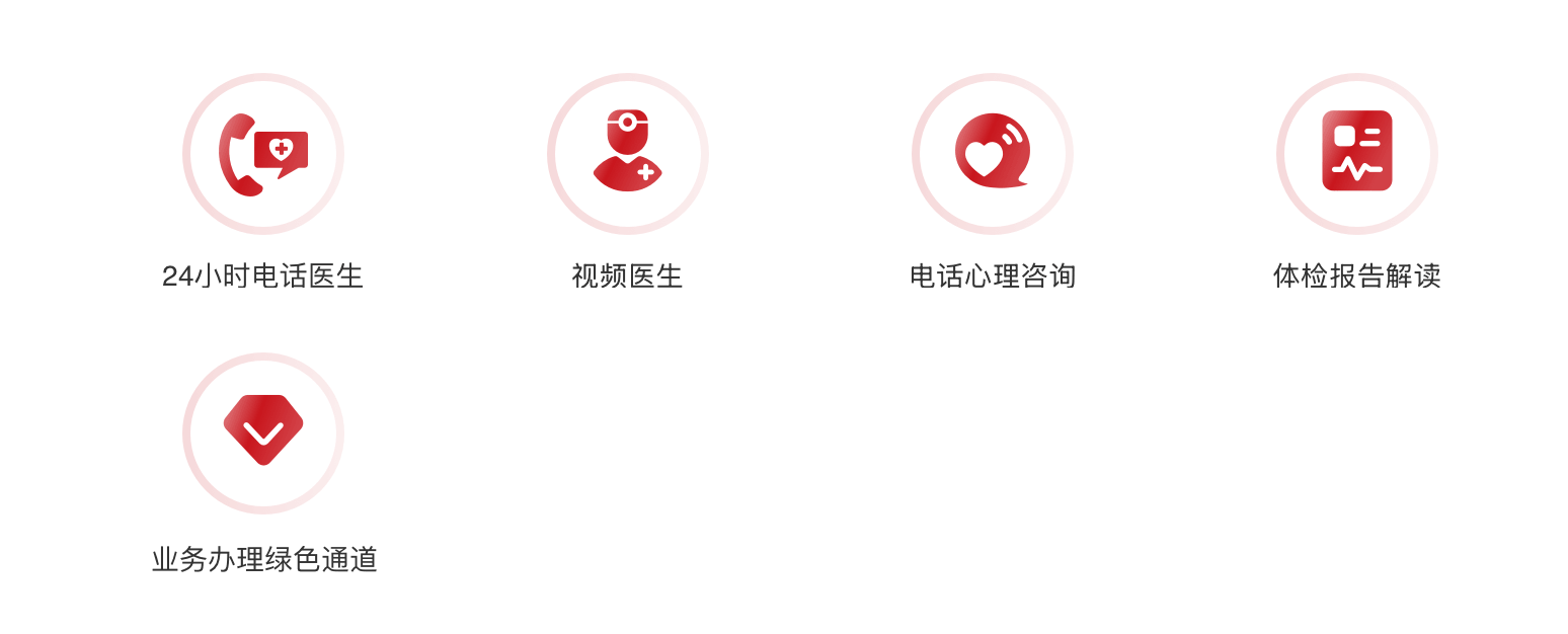 24小时电话医生、视频医生、电话心理咨询、体检报告解读、业务办理绿色通道